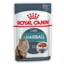 Royal Canin FCN Hairball Care 85 g