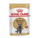 Royal Canin FBN British Shorthair Adult 85 g