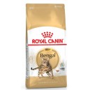 Royal Canin FBN Bengal 10 kg Cat