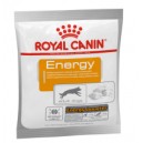 Royal Canin Nutrition Energy 50 g Dog