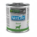 FARMINA Vet Life Renal 300 g Dog