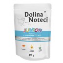 Dolina Noteci Junior Jagnięcina 300 g Dog