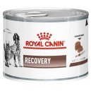 Royal Canin Recovery 195 g puszka Cat