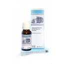 RodiCare Appetite 15 ml