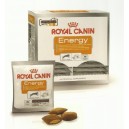 Royal Canine Dog Energy 30 x 50 g