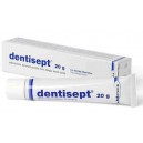 Dentisept pasta dla psów i kotów 20g