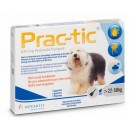 Prac-tic pies 22-50 kg 1 pipeta x 5,0 ml