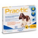 Prac-tic pies 11-22 kg 1 pipeta x 2,2 ml